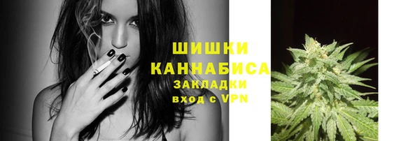 амф Белокуриха