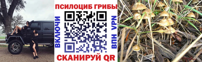 Галлюциногенные грибы Magic Shrooms  Ангарск 